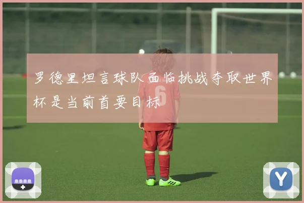 罗德里坦言球队面临挑战夺取世界杯是当前首要目标